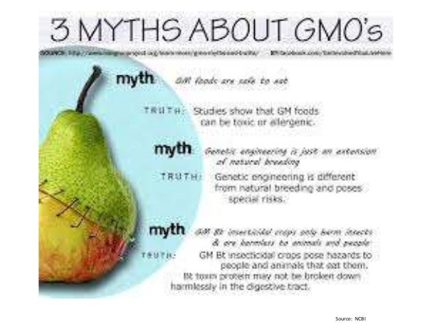 genetically modified babies essay genetically modified babies essay