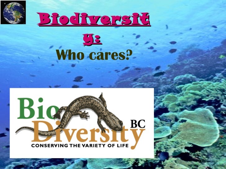Biodiversity Assignment
