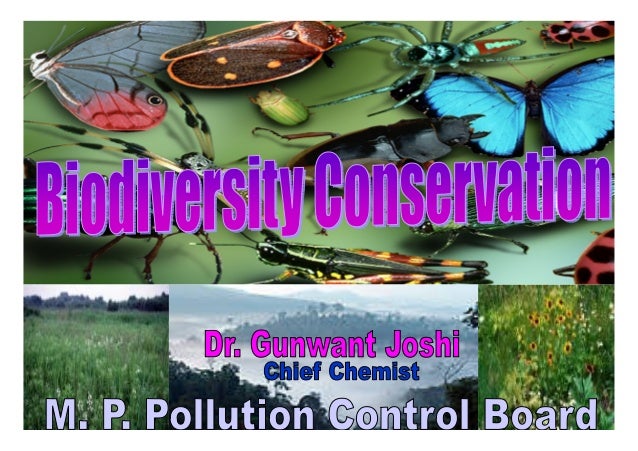 Essay On Conservation Of Biodiversity