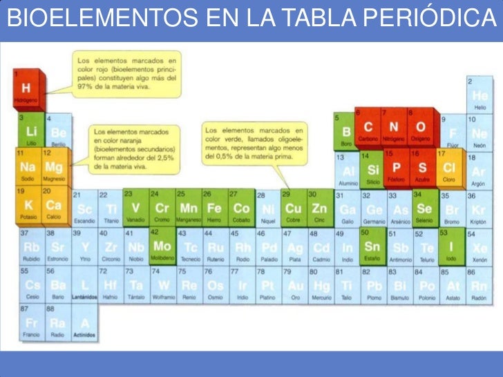 Resultado de imagen de bioelementos