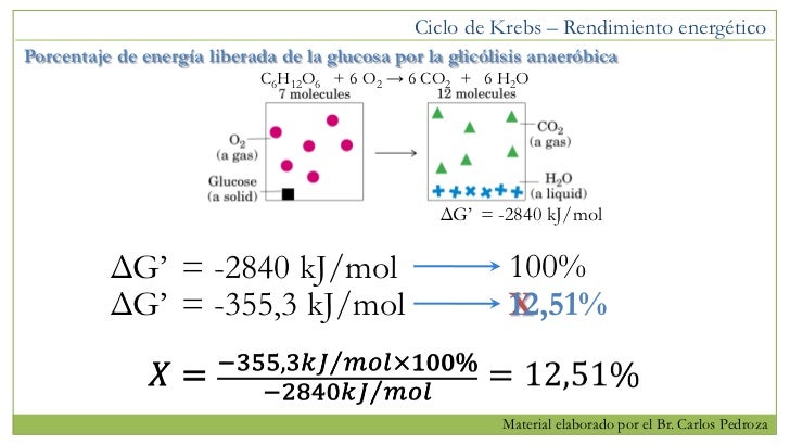 OXIDACIONES BIOLÓGICAS (Cuestionario fecha: 21-28 agosto, 2016) Bioenergtica-ii-parte-1-ciclo-de-krebs-y-fosforilacin-oxidativa-parte-1-77-728