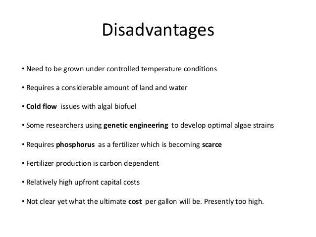 an introduction to the advantages and disadvantages of death penalty an introduction to the advantages and disadvantages of death penalty