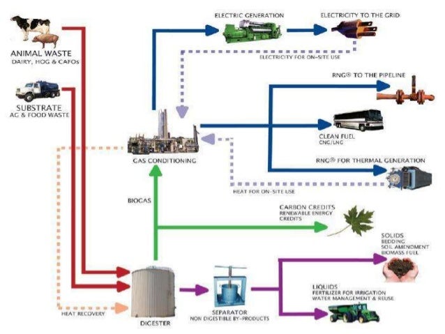 biomass to biogas essay biomass to biogas essay