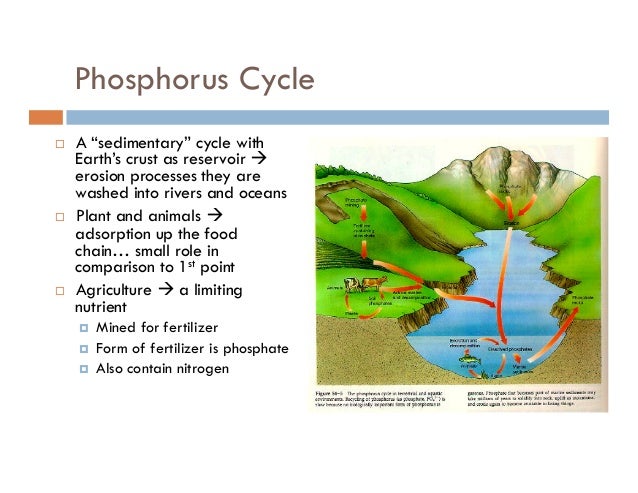 biogeochemical cycle definition