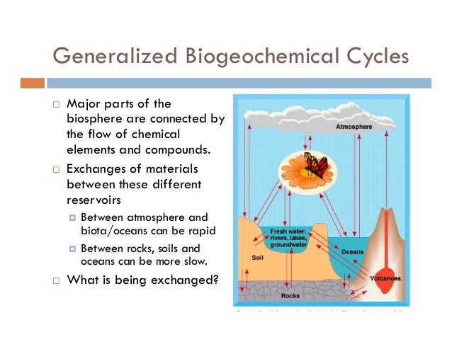 biogeochemical cycle definition