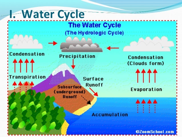 What Is The Natural Water Cycle What Is The Natural Water Cycle