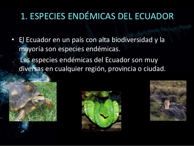 especies endémicas del ecuador el ecuador en un país especies endémicas del ecuador el ecuador en un país