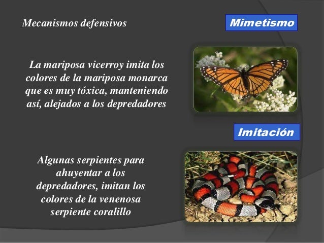 Biología 4to año significado de la vida - mecanismos de defensa en