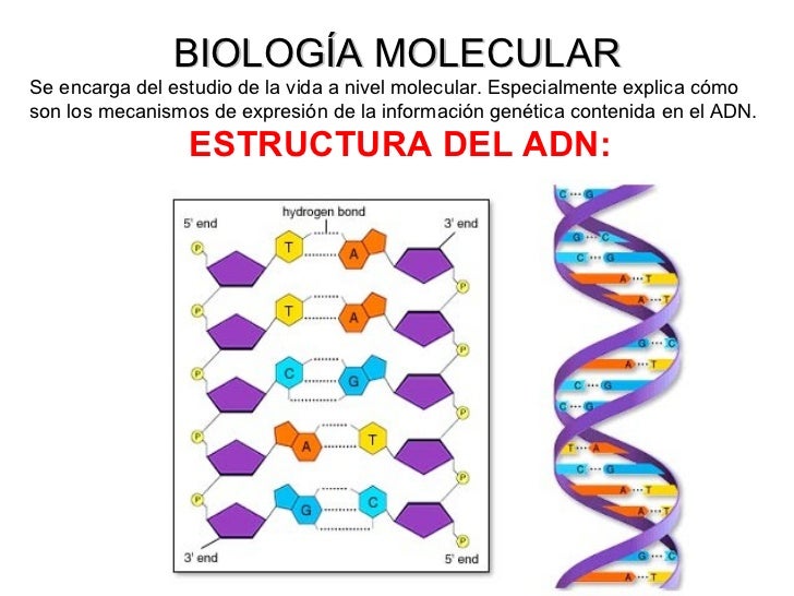 Biologia molecular e biotecnologia Biologia molecular e biotecnologia
