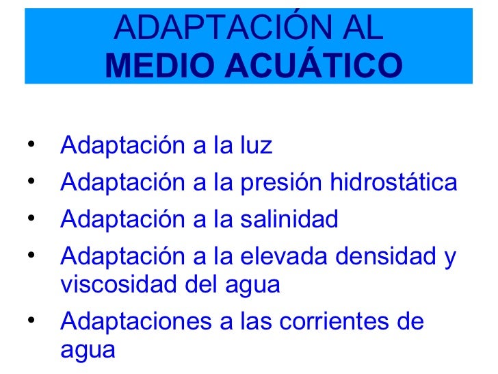 La cocción del ajenjo de los parásitos para los niños
