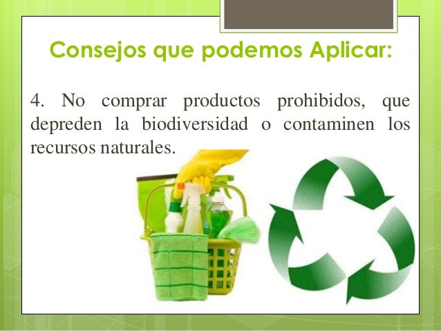 La Biodiversidad