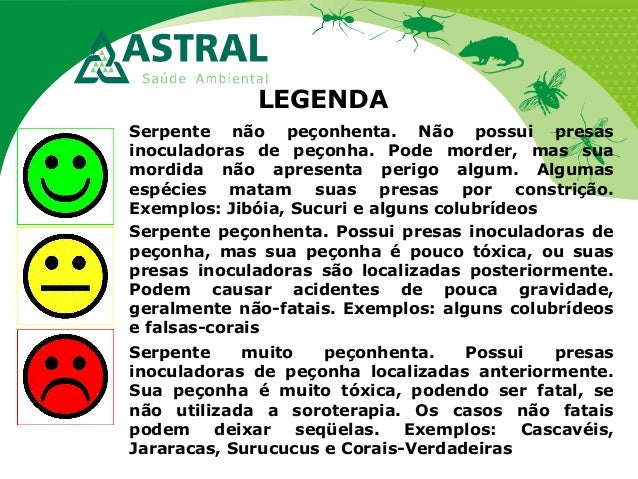 LEGENDA
Serpente não peçonhenta. Não possui presas
inoculadoras de peçonha. Pode morder, mas sua
mordida não apresenta per...