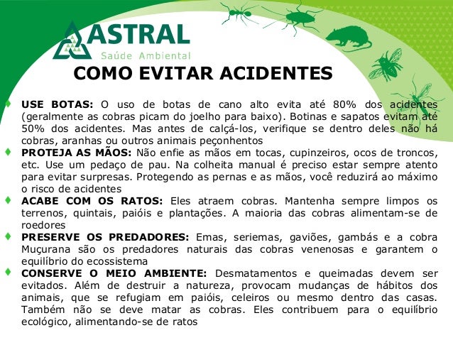 COMO EVITAR ACIDENTES
USE BOTAS: O uso de botas de cano alto evita até 80% dos acidentes
(geralmente as cobras picam do ...