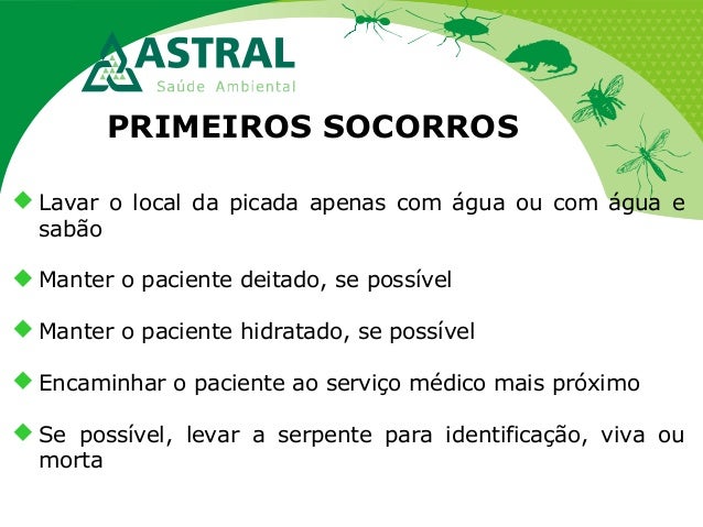PRIMEIROS SOCORROS
Lavar o local da picada apenas com água ou com água e
sabão
Manter o paciente deitado, se possível
...