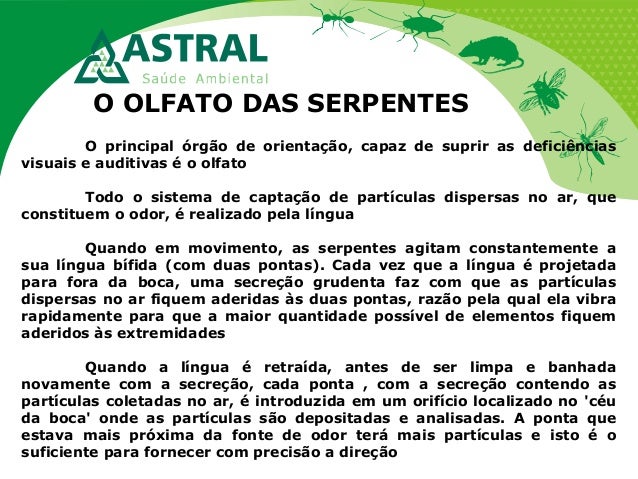 O OLFATO DAS SERPENTES
O principal órgão de orientação, capaz de suprir as deficiências
visuais e auditivas é o olfato
Tod...