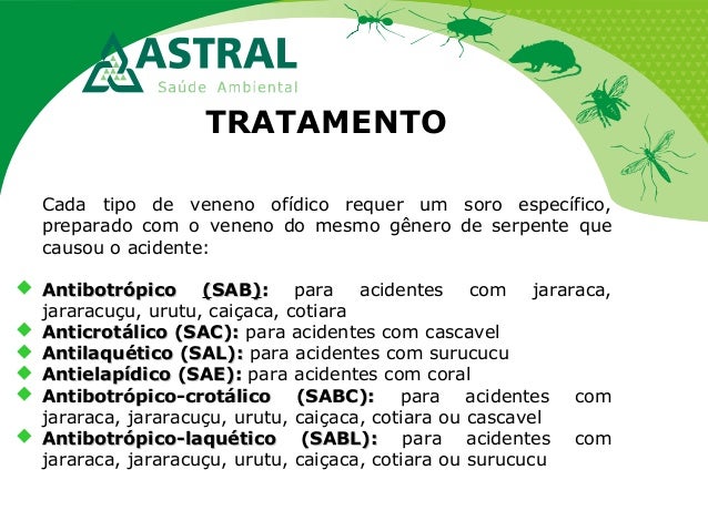 TRATAMENTO
Cada tipo de veneno ofídico requer um soro específico,
preparado com o veneno do mesmo gênero de serpente que
c...