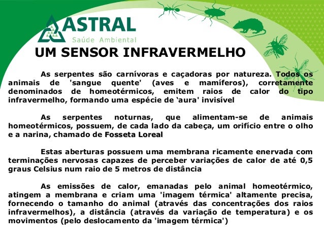 UM SENSOR INFRAVERMELHO
As serpentes são carnívoras e caçadoras por natureza. Todos os
animais de 'sangue quente' (aves e ...