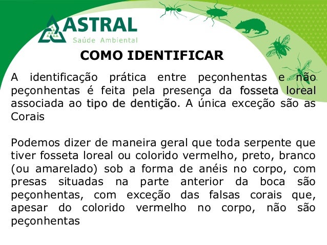 COMO IDENTIFICAR
A identificação prática entre peçonhentas e não
peçonhentas é feita pela presença da fosseta lorealfosset...
