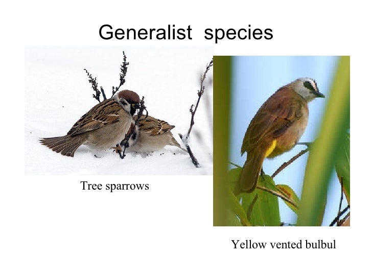 Biological Communities And Interaction
