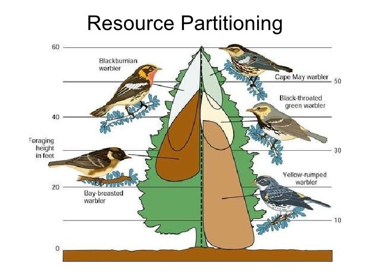 Biological Communities And Interaction