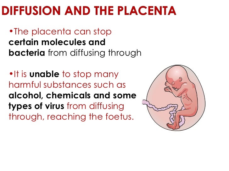 Biological examples of diffusion