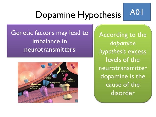 neurotransmitters and behaviour essay neurotransmitters and behaviour essay