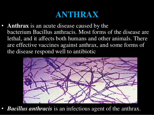 the threats of biological warfare essay Biological weapons essayssince the day when war and technology mixed together during these last centuries, each human being has been facing attacks with different. the threats of biological warfare essay Biological weapons essayssince the day when war and technology mixed together during these last centuries, each human being has been facing attacks with different.