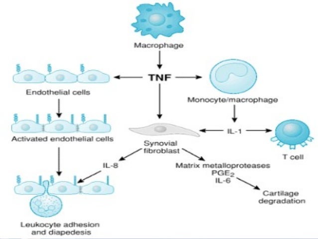 fluoxetine very effective fluoxetine very effective