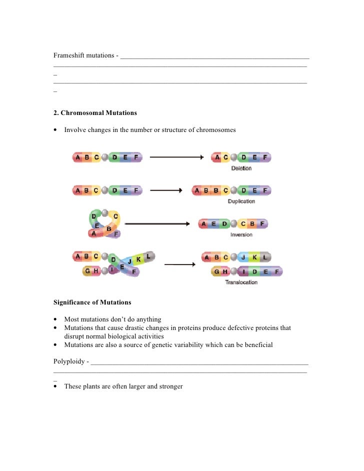 Biology Chp 12 DNA and RNA Notes
