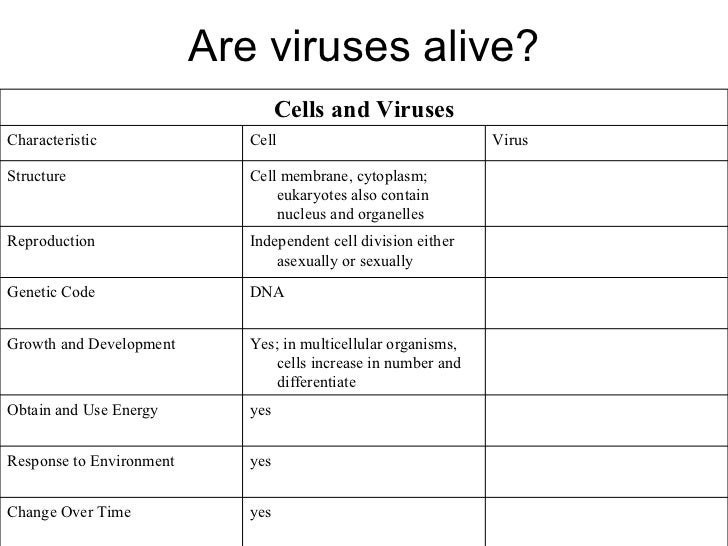 Printables Virus And Bacteria Worksheet virus and bacteria worksheet pichaglobal high school biology 1000 images about cells