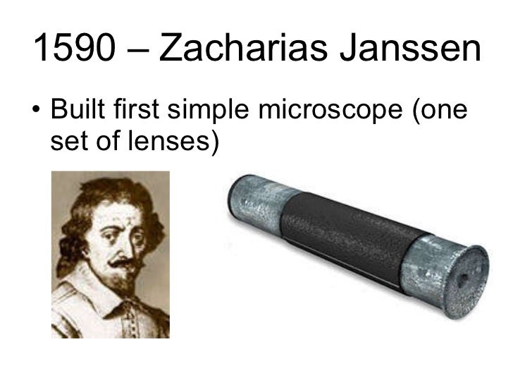 The Pseudoscience of J. Philippe Rushton Page 25 Vanguard News