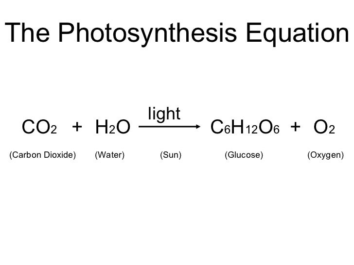 What Is the formula for photosynthesis?