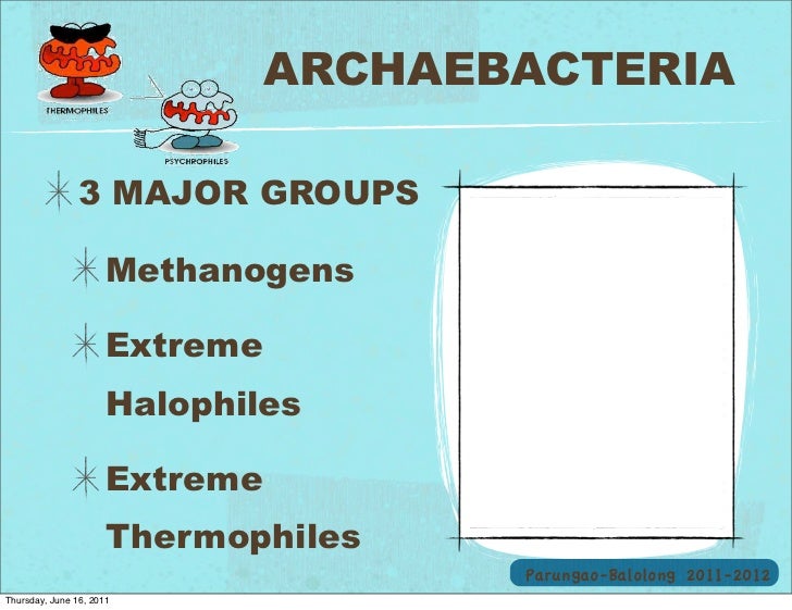 thermophile halophiles methanogens Extreme thermophiles are microorganisms adapted to temperatures normally found only in hot springs, hydrothermal vents and similar sites of geothermal activity. thermophile halophiles methanogens Extreme thermophiles are microorganisms adapted to temperatures normally found only in hot springs, hydrothermal vents and similar sites of geothermal activity.