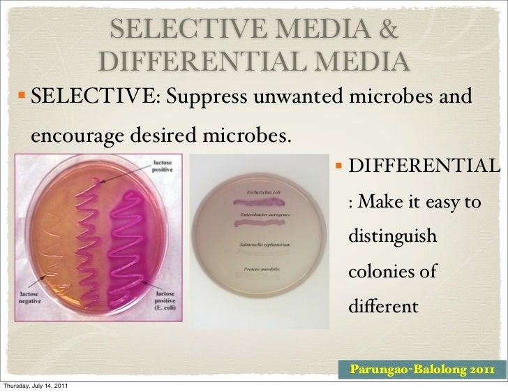 Biology 120 lecture 4 2011 2012