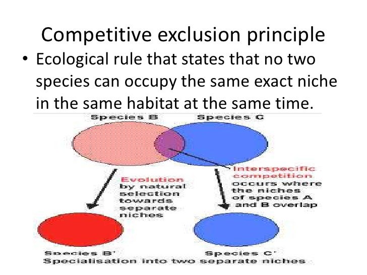 puritan society and principle of exclusion Principle of inclusion-exclusion the principle of inclusion-exclusion (abbreviated pie) provides an organized method/formula to find the number of elements in the. puritan society and principle of exclusion Principle of inclusion-exclusion the principle of inclusion-exclusion (abbreviated pie) provides an organized method/formula to find the number of elements in the.