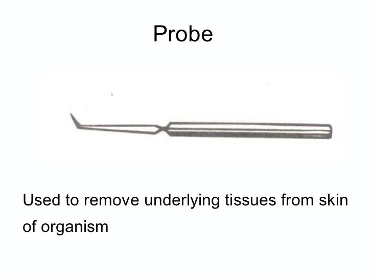 Biology labequip