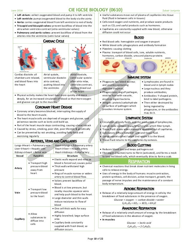 Cie Igcse Biology Complete Notes