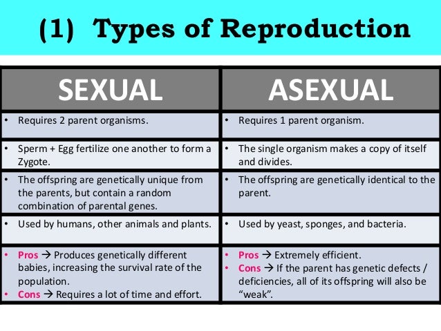 Biology Unit 4 Cell Division Types Of Reproduction