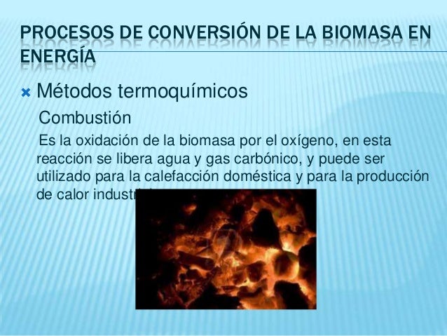Dejaré a beber fumar reñir