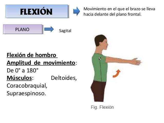 Biomecaica del hombro resumen