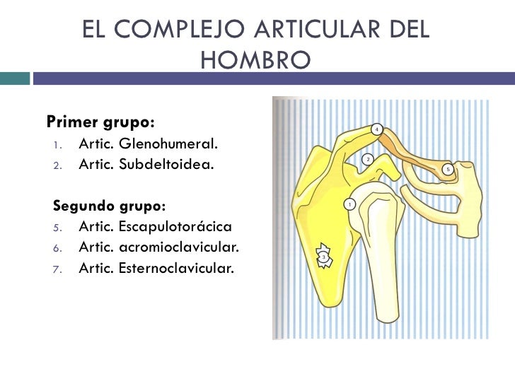 Biomecanica hombro, pruebas funcionales y ortopedicas