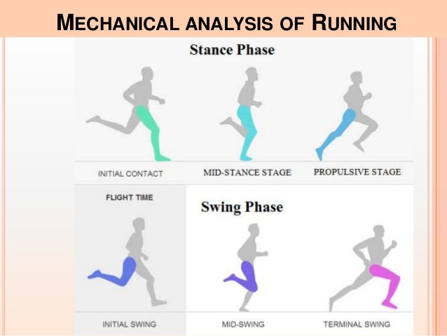 Biomechanics and Sports running gait phases diagram 
