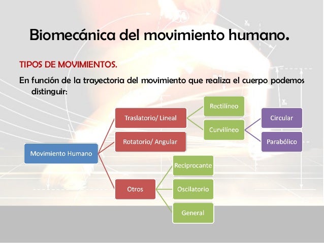 Biomecánica (parte 2)