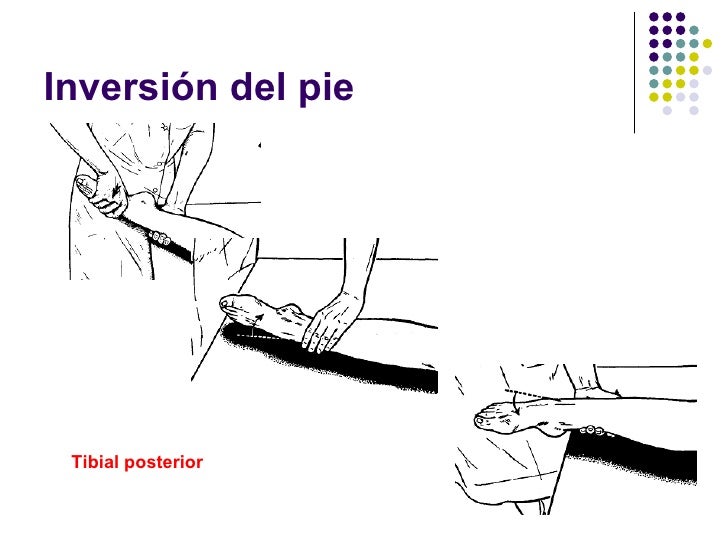 Biomecanica tobillo, pruebas funcionales y ortopedicas
