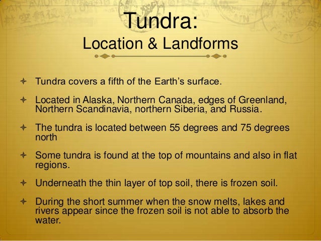 facts about the tundra