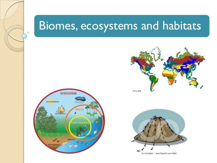 Biomes, ecosystems and habitats quiz 1