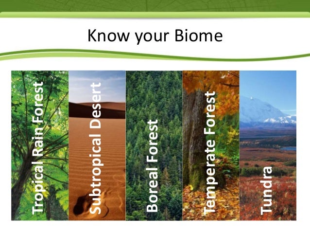 what are biomes