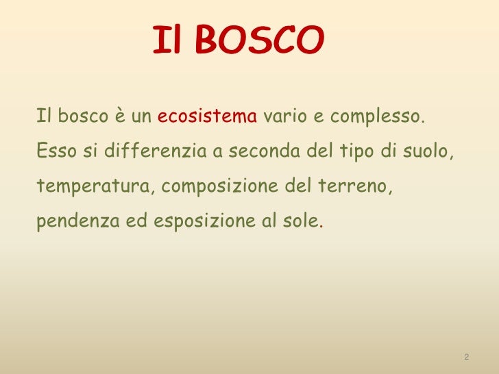 Ecosistema Marino Scuola Primaria Classe Terza