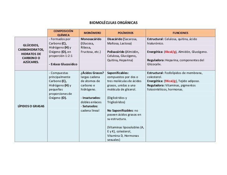 BIOMOLECULAS FUNCIONES biomoleculas funciones:
