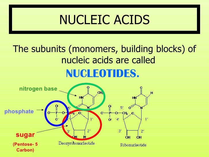 Biomolecules